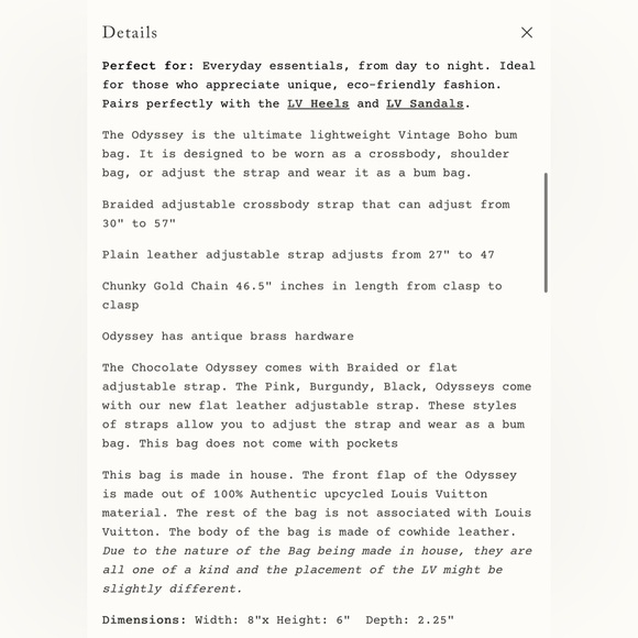 Louis Vuitton Designer Brown Crossbody Bag - Picture 12 of 15